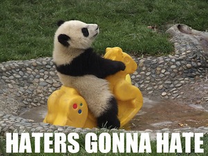 haters gonna hate panda