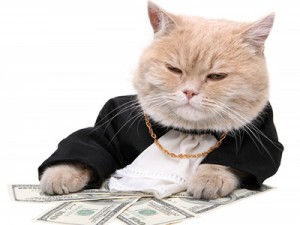 money cat