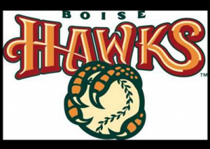 boise hawks feature