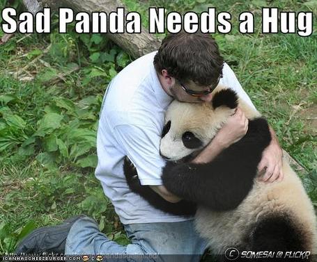 How To Bypass Sad Panda
