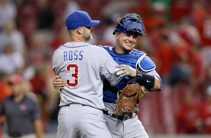 A 2015 Profile of David Ross Tells You Almost Everything You Need to ...
