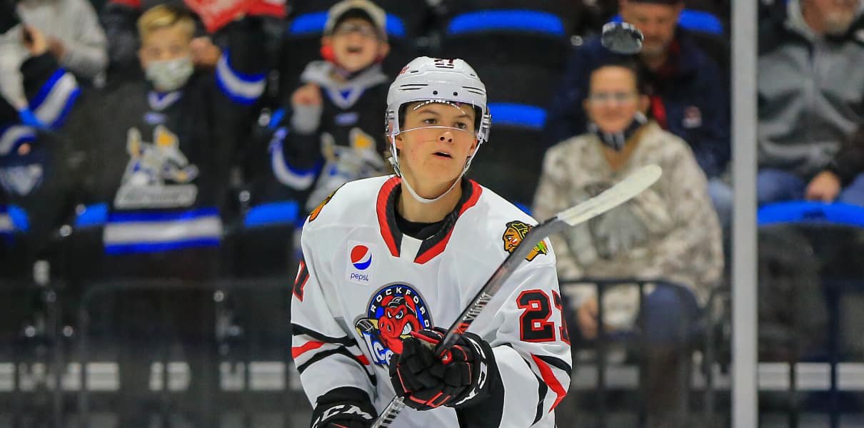 Lukas Reichel Named To AHL Top Prospects Team - Bleacher Nation