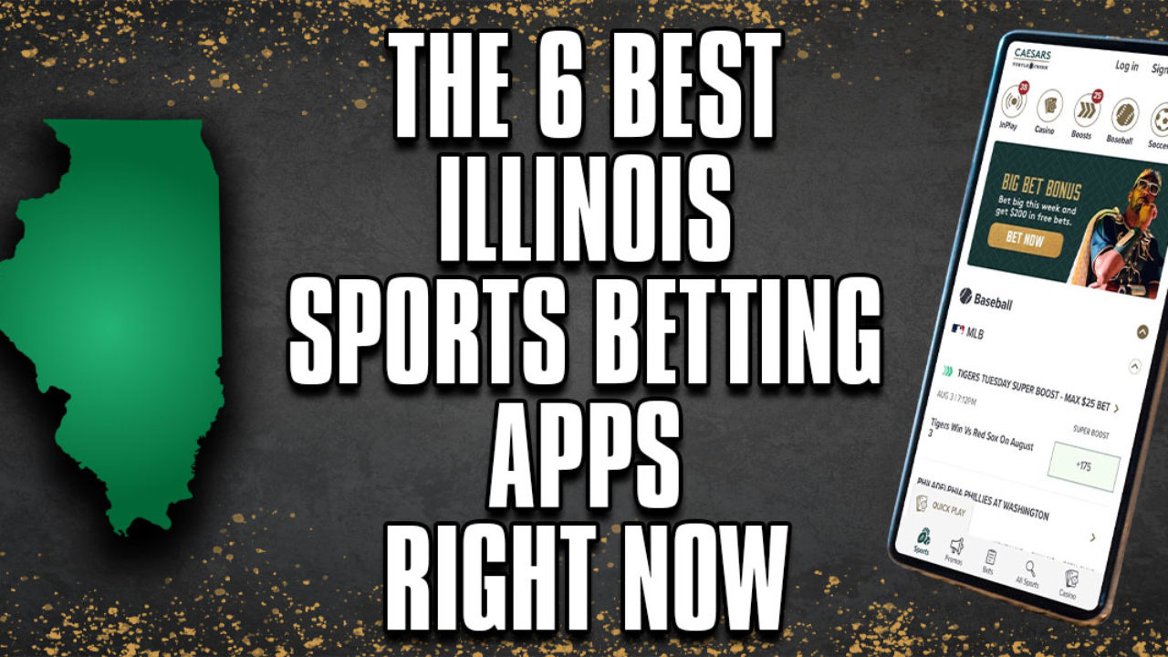 A Guide To Cricket Betting App At Any Age