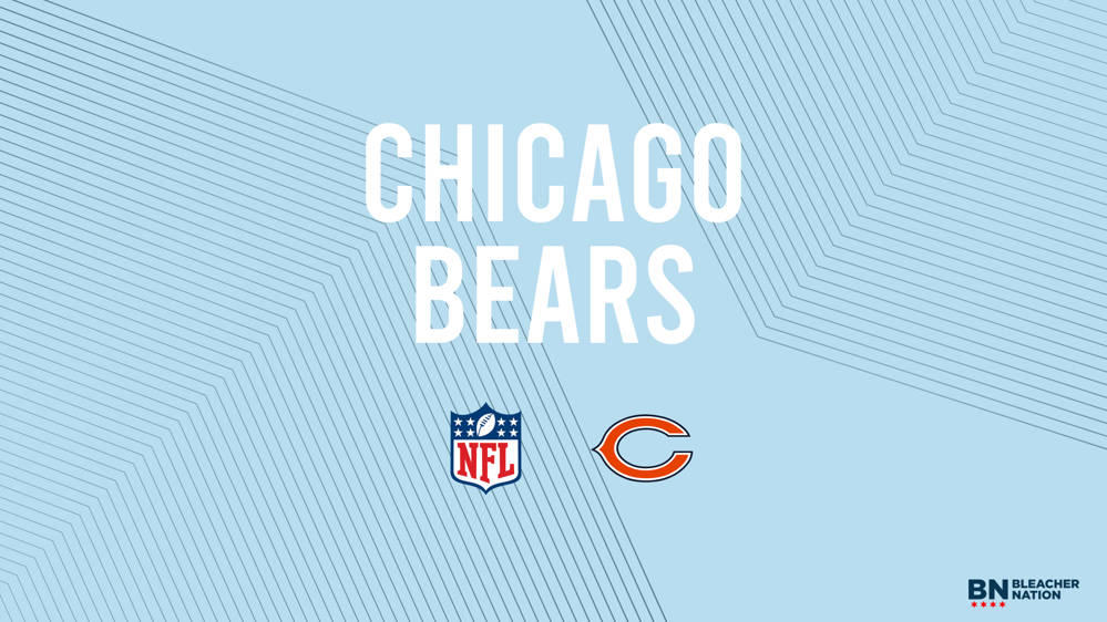 chicago bears playoffs