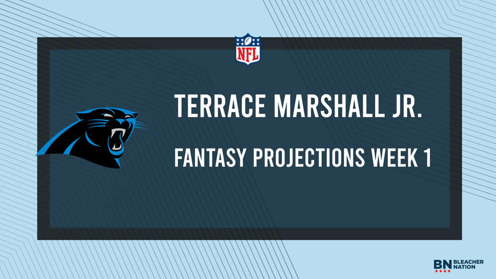 Terrace Marshall Jr. Fantasy Week 1: Projections vs. Falcons