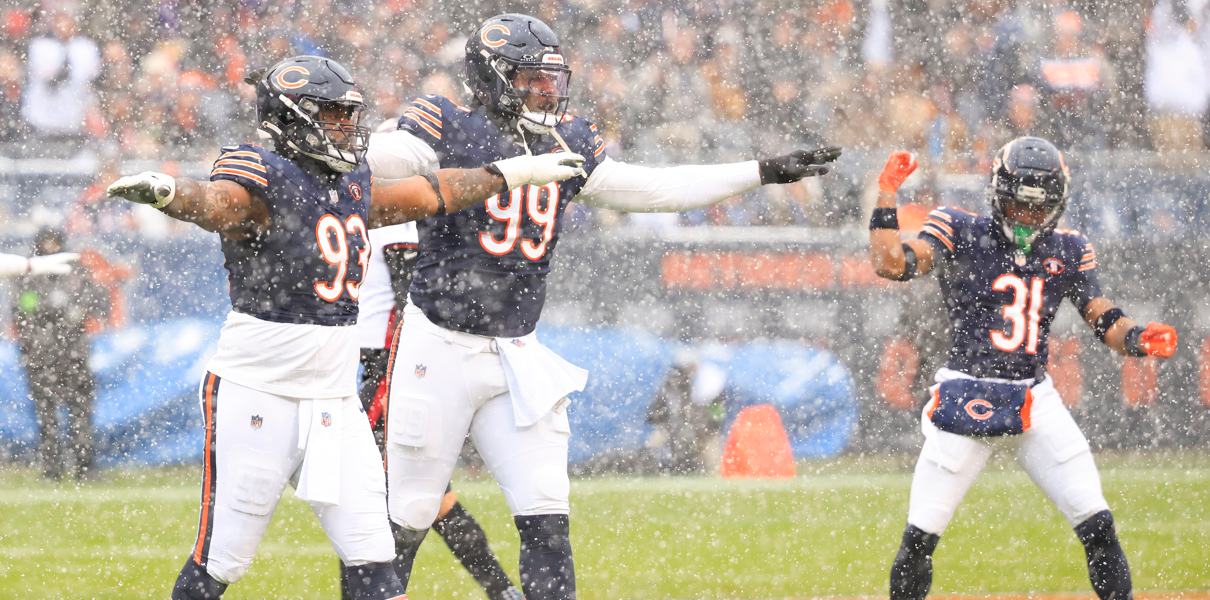 bears defense in snow