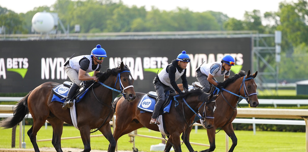 Belmont Stakes Odds: Expert Picks & Post Positions